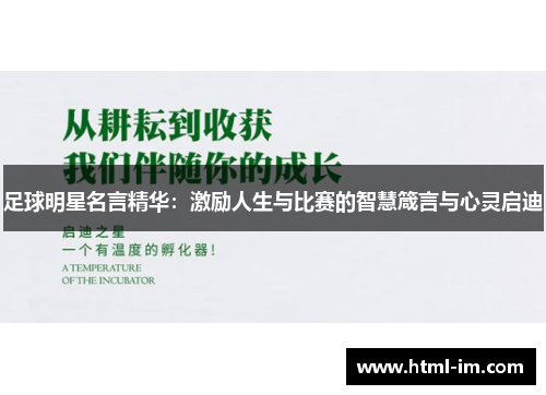 足球明星名言精华：激励人生与比赛的智慧箴言与心灵启迪
