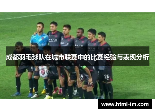 成都羽毛球队在城市联赛中的比赛经验与表现分析