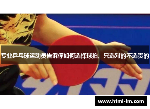 专业乒乓球运动员告诉你如何选择球拍,只选对的不选贵的 专业乒乓球运动员告诉你如何选择球拍,只选对的不选贵的